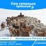 "Сум сумандаа тусалъя" хандивын аяныг эхлүүллээ