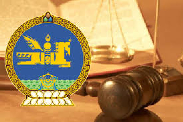 Төлбөрийн чадваргүйдлийн тухай хуулийн төслийг өргөн мэдүүллээ