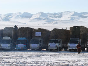 Тусламжийн цуваа зудтай аймгуудыг зорилоо