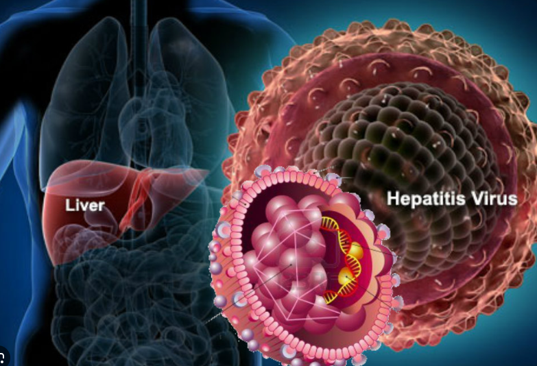 Гепатитын D вирусийн халдвартай 66 мянган хүн байна