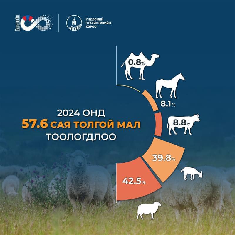Улсын хэмжээнд 2024 оны эцэст 57.6 сая толгой мал тоологдлоо